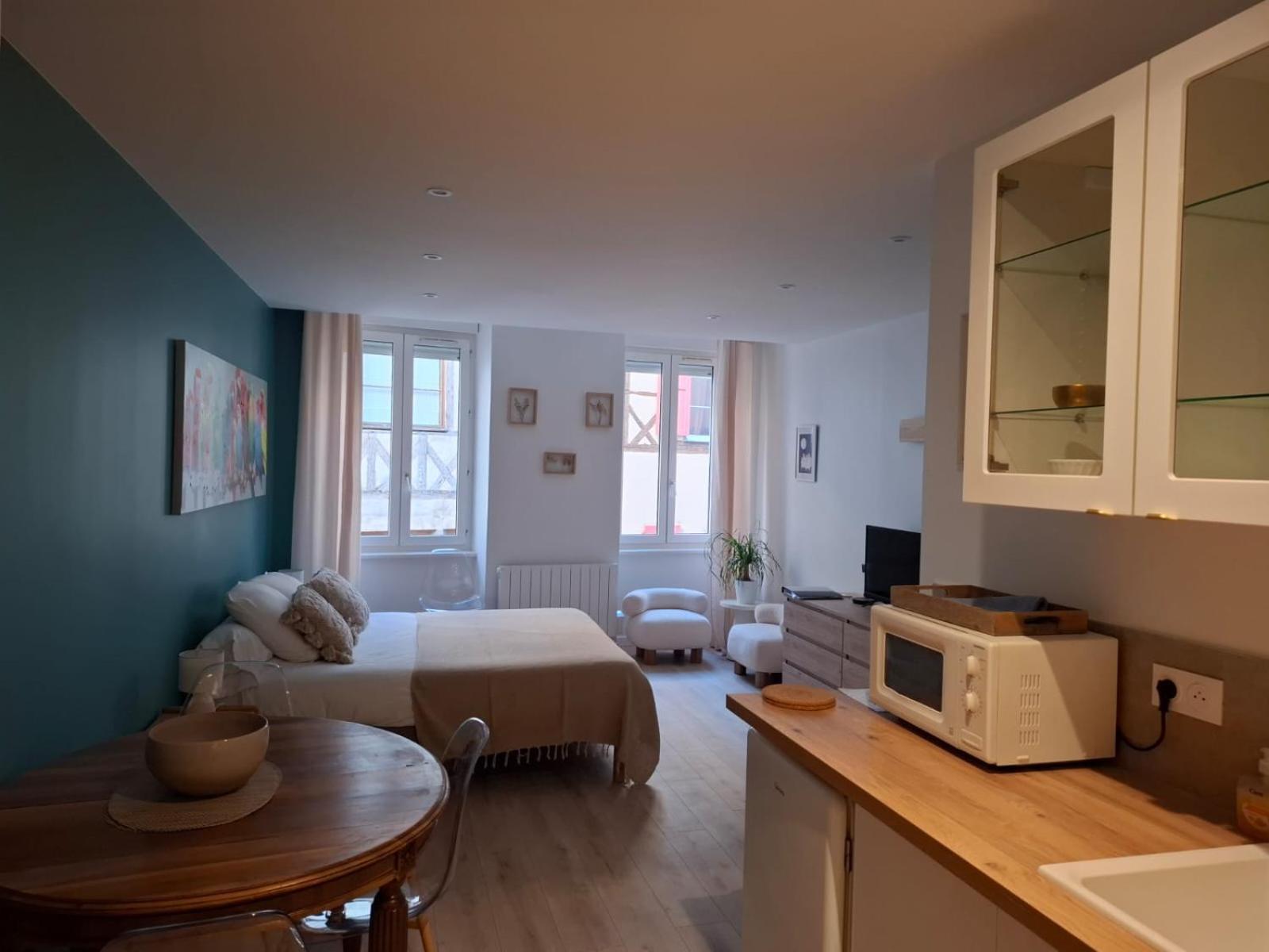 Studio Centre Macon Place Aux Herbes Exteriér fotografie